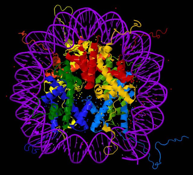 Core histones of a nucleosome