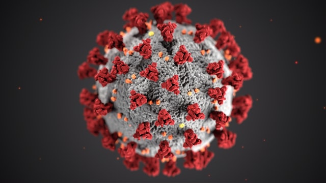 structure of the COVID-19 Virus